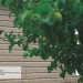 Сайдинг Ю-Пласт TIMBERBLOCK Пихта (Тимберблок) Cахалинская купить в Воскресенске
