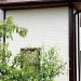 Фасадная панель Grand Line Сланец молочный купить в Воскресенске